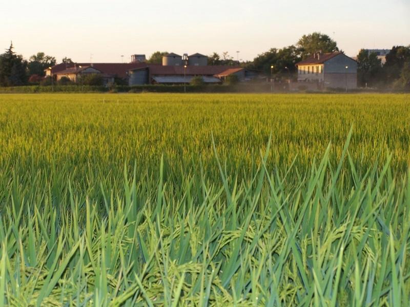 Cascina Battivacco Βίλα Μιλάνο Εξωτερικό φωτογραφία