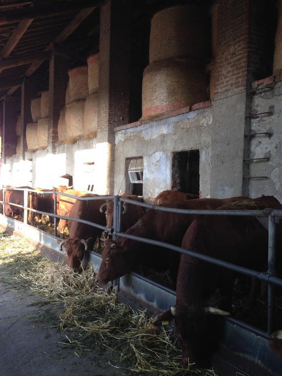 Cascina Battivacco Βίλα Μιλάνο Εξωτερικό φωτογραφία